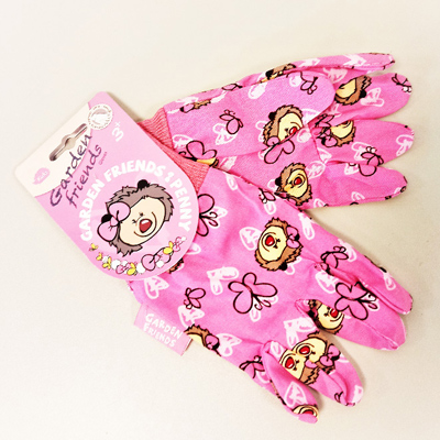 Air Plants Tillandsias